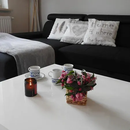 アパート Apartament Z Klimatem *